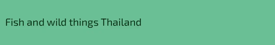 Fish and wild things Thailand